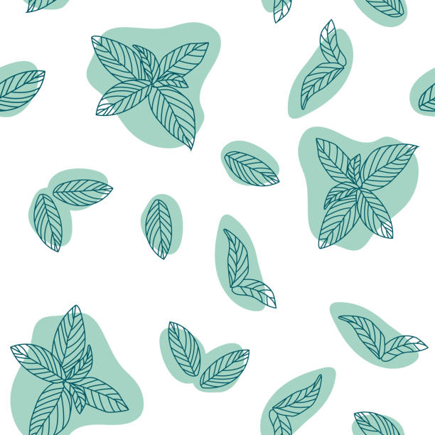 ilustrações de stock, clip art, desenhos animados e ícones de mint leaves hand drawn vector seamless pattern. peppermint, spicy herbs, kitchen texture, doodle cooking ingredient for design package tea, wallpaper, cosmetics, textile, natural organ - mint