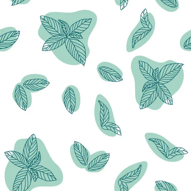 Vector illustration of Mint leaves hand drawn vector seamless pattern. Peppermint, spicy herbs, kitchen texture, Doodle cooking ingredient for design package tea, wallpaper, cosmetics, textile, natural organ