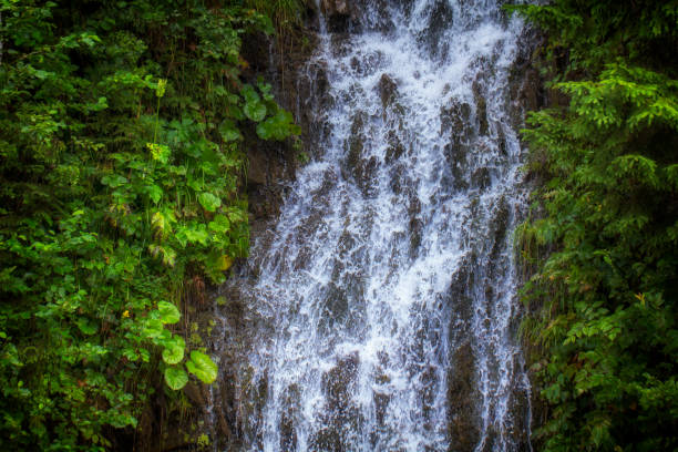 istock A small waterfall near Lake Synevir, which falls into a swift mountain river 1010252792