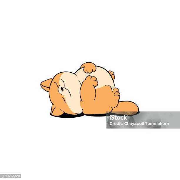 Lazy Cat Sleeping Cute Fat Kitten Lying On Back Cartoon Icon Vector Illustration Stock Illustration - Download Image Now