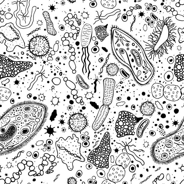 Bacteria Seamless Pattern Seamless one color pattern with bacterias and infusorias. Editable vector illustration in unique hand-drawn style. Biological creative background. protozoan stock illustrations