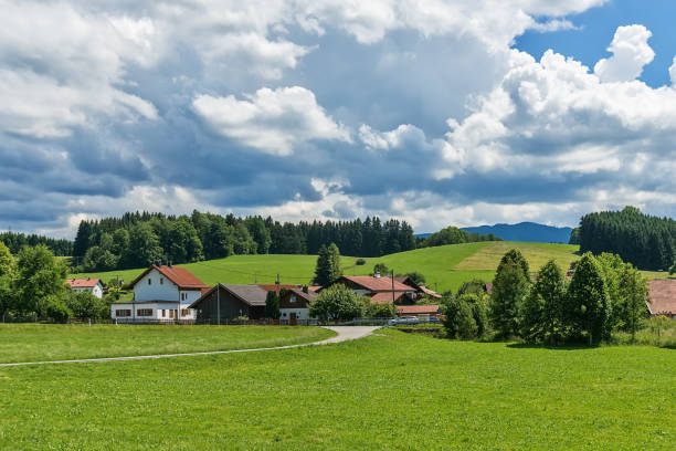 Idyllic landscape in the Alps with green meadows and clouds