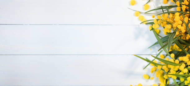 istock Yellow flowers for Mothers Day 1010292184