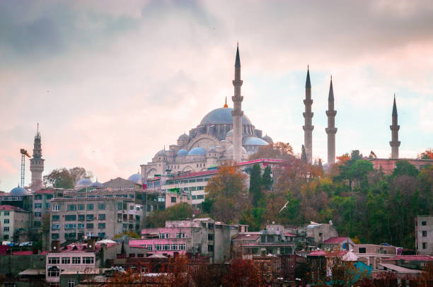 istock Suleymaniye mosque in Istanbul, Turkey 1010295548