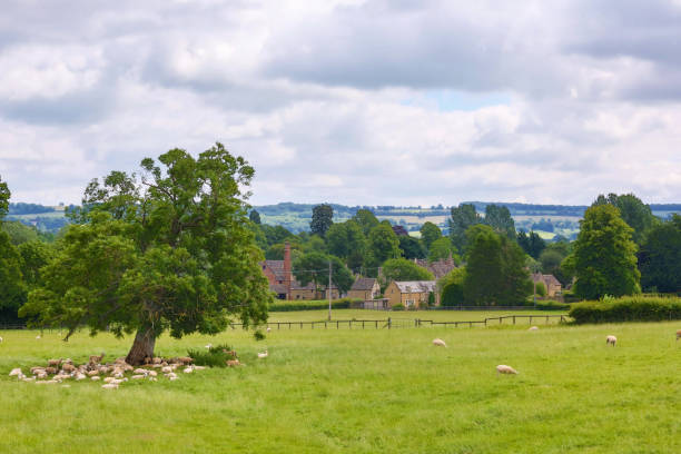 English Farm Land stock photo