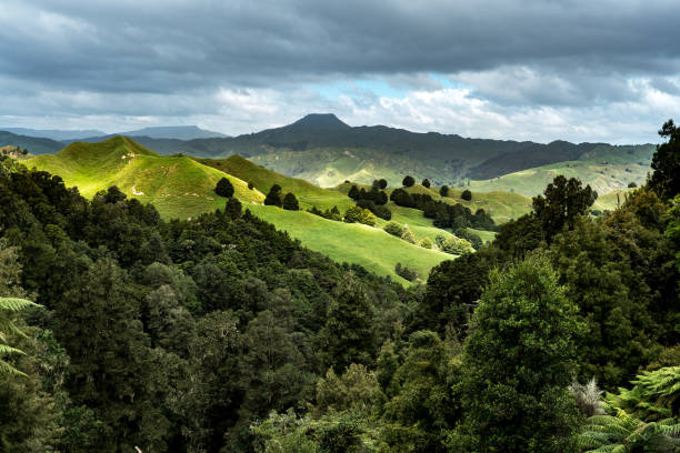istock Amazing light and shadow on the rolling hills 1010316892