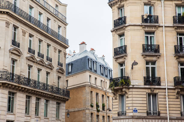 istock Antique buildings at Danton street in Paris 1010321204