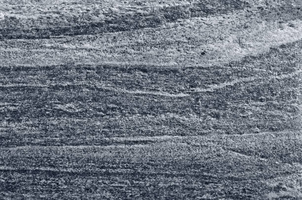 istock Migmatitic gneiss migmatite rock bands pattern, grey light dark banded granite texture macro closeup, large detailed textured silver gray horizontal background, coarse grained feldspar, quartz, crystals, mica minerals metamorphic gneissic foliation struct 1010323774