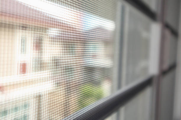 istock mosquito net wire screen on house window protection against insect 1010329472