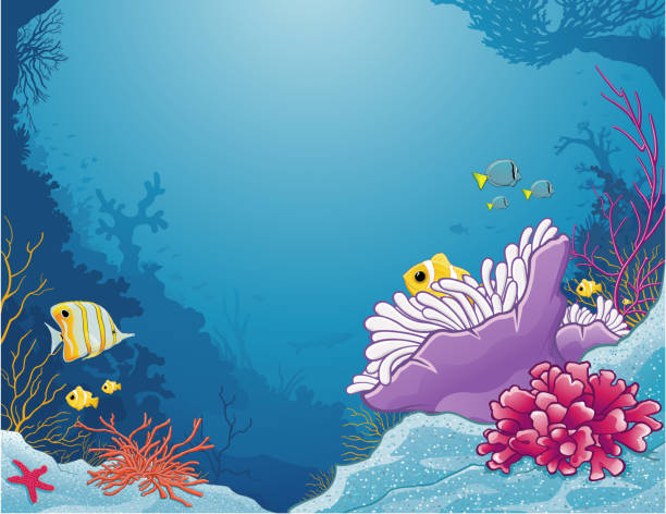 ilustrações de stock, clip art, desenhos animados e ícones de sea anemone/sea anemone - tropical fish saltwater fish butterflyfish fish