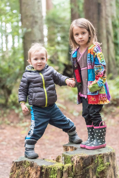 istock children holding hands in the woods 1010335168