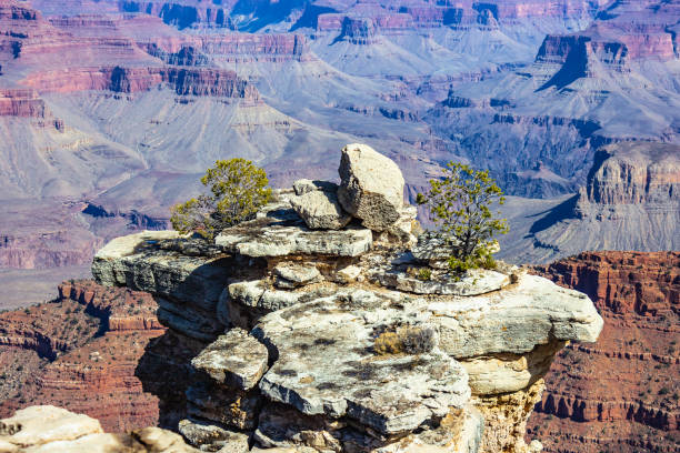 istock Grand Canyon Arizona 1010361136