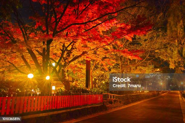 秋京都祇園の夜景 - 京都市のストックフォトや画像を多数ご用意 - 京都市, 京都府, 紅葉