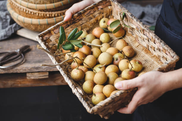 istock Fresh longan fruits 1010380710