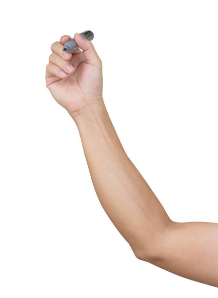 istock Man hand holding marker isolated on white background 1010389220
