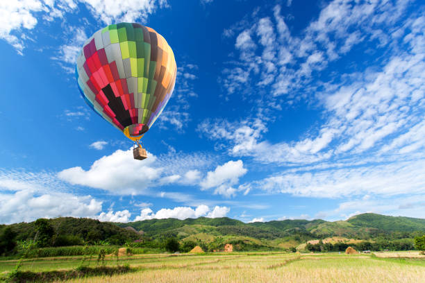 istock Hot air balloon over the field with blue sky 1010389268