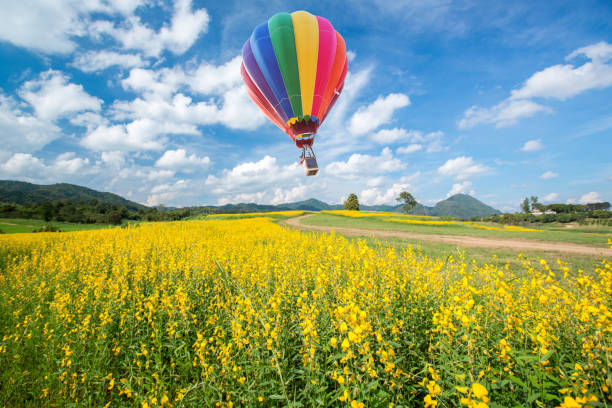 istock Hot air balloon over yellow flower fields against blue sky 1010389330