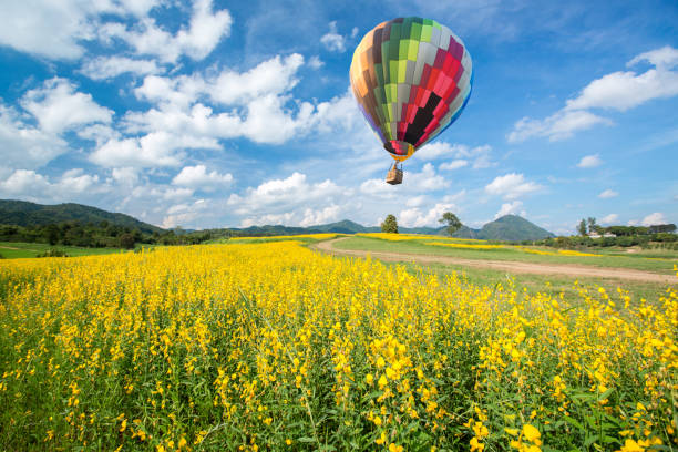 istock Hot air balloon over yellow flower fields against blue sky 1010389442