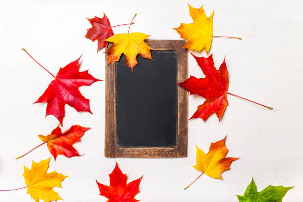 istock Autumn leaves border on a chalkboard background with copy space. Back to School concept
