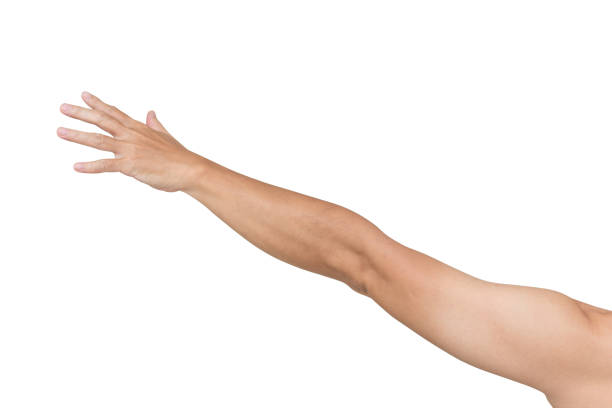 istock Man hands try to grab something isolated on white background, clipping path 1010398264