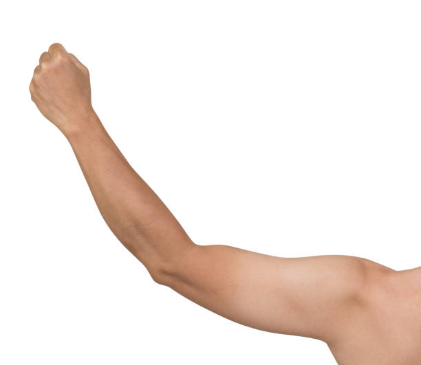 istock Arm punch isolated on white background, clipping path 1010398290