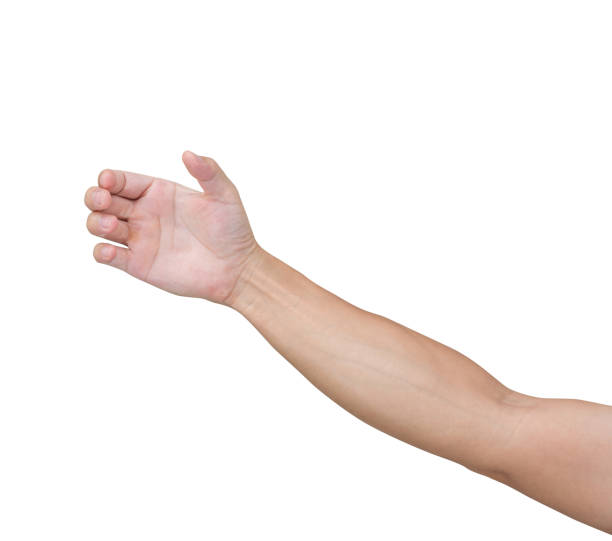 istock Man hands try to grab something isolated on white background, clipping path 1010398396