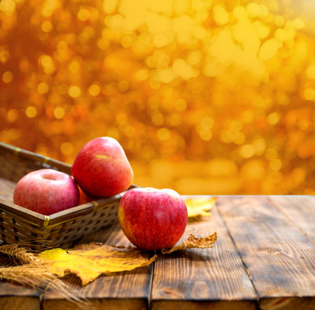 istock Fall harvest cornucopia. Basket with red apples in the garden. Copy space on wood background in Autumn season. 1010401078