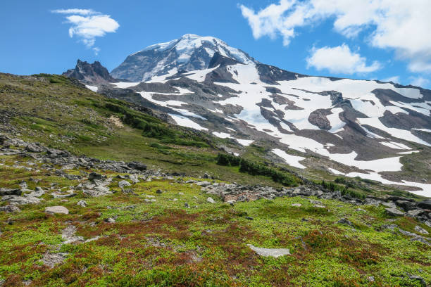 istock Mount Rainier seen from Spray Park Trail Mount Rainier National Park 1010406036