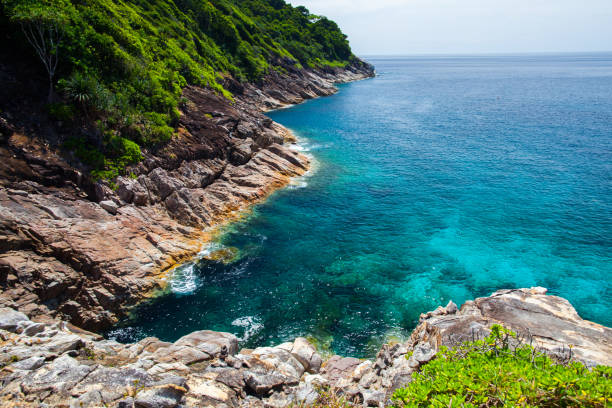 istock Beautiful beach at tropicana under clear sky and mountain 1010420800