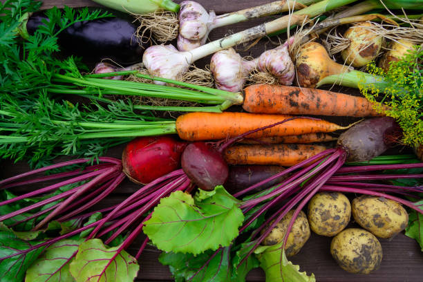 istock Harvest of Fresh organic vegetables 1010436072