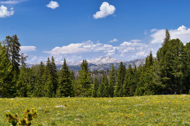 istock Wind River Range, Rocky Mountains, Wyoming, views from backpacking hiking trail to Titcomb Basin from Elkhart Park Trailhead going past Hobbs, Seneca, Island, Upper and Lower Jean Lakes as well as Photographers point. 1010440650