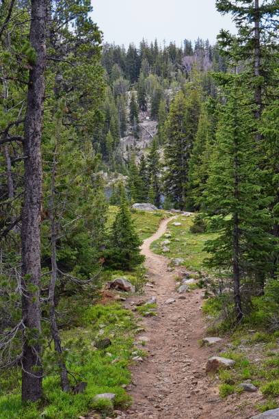 istock Wind River Range, Rocky Mountains, Wyoming, views from backpacking hiking trail to Titcomb Basin from Elkhart Park Trailhead going past Hobbs, Seneca, Island, Upper and Lower Jean Lakes as well as Photographers point. 1010448782