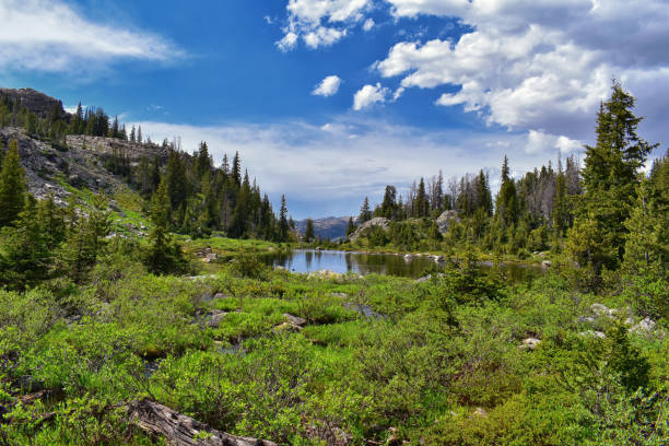 istock Wind River Range, Rocky Mountains, Wyoming, views from backpacking hiking trail to Titcomb Basin from Elkhart Park Trailhead going past Hobbs, Seneca, Island, Upper and Lower Jean Lakes as well as Photographers point. 1010455782