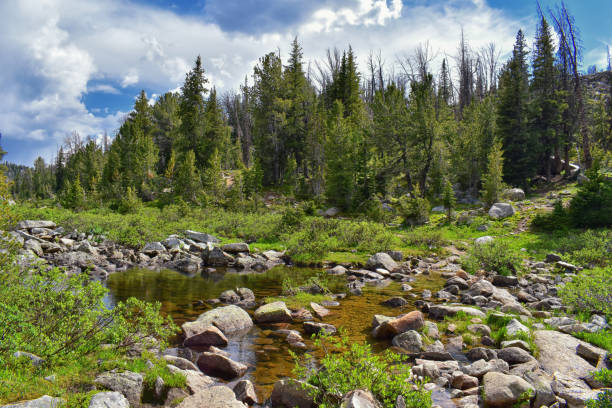 istock Wind River Range, Rocky Mountains, Wyoming, views from backpacking hiking trail to Titcomb Basin from Elkhart Park Trailhead going past Hobbs, Seneca, Island, Upper and Lower Jean Lakes as well as Photographers point. 1010455786