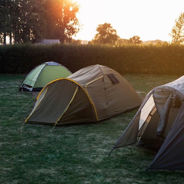 istock Tourist tents camping at a beautiful early summer evening. 1010461380