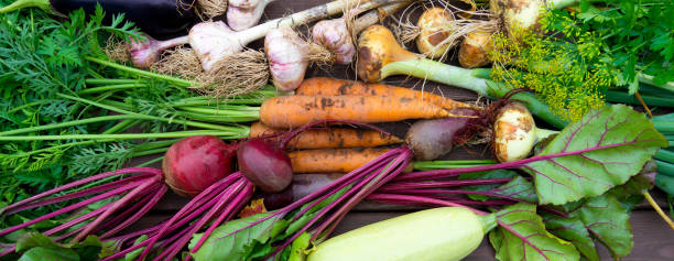 istock Harvest of Fresh organic vegetables 1010464742