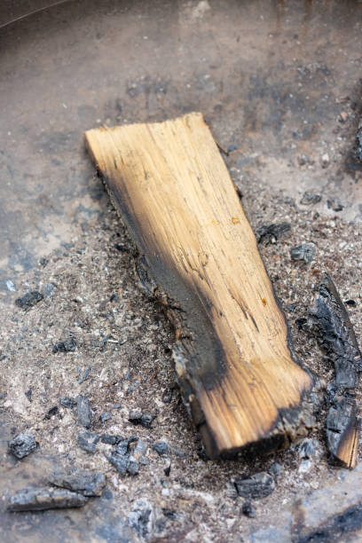 istock bruned fire wood in grill with ash 1010477664