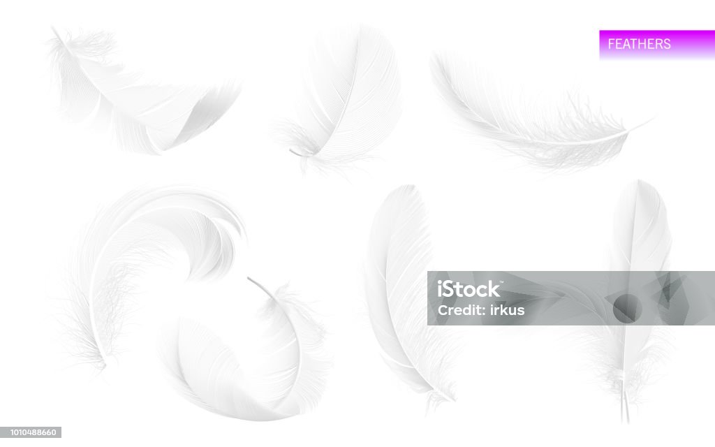 Set of isolated falling white fluffy twirled feathers on white background in realistic style. Vector Illustration Set of isolated falling white fluffy twirled feathers on white background in realistic style vector illustration Feather stock vector