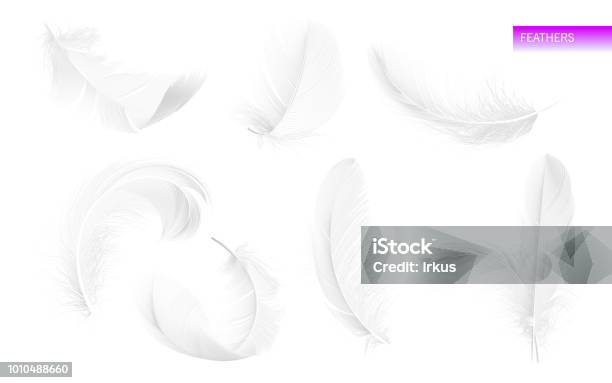 Set Of Isolated Falling White Fluffy Twirled Feathers On White Background In Realistic Style Vector Illustration Stock Illustration - Download Image Now