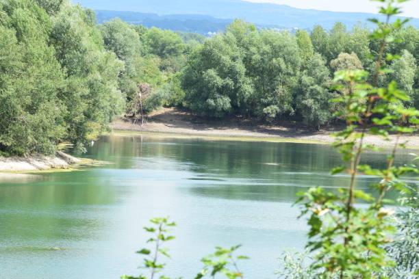 istock rhine river detached lake, Steinsee 1010496496