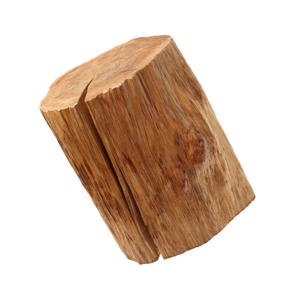 istock Wood log isolated on white background 1010497772