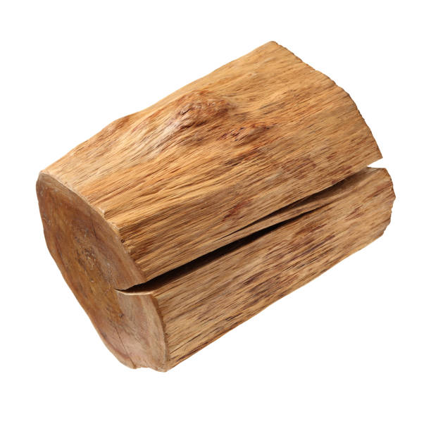 istock Wood log isolated on white background 1010497796