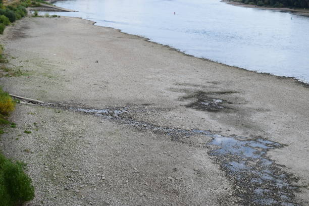 trockenen alten rhein-seitenarm mit insel - asphalt damaged riverbed construction stock-fotos und bilder