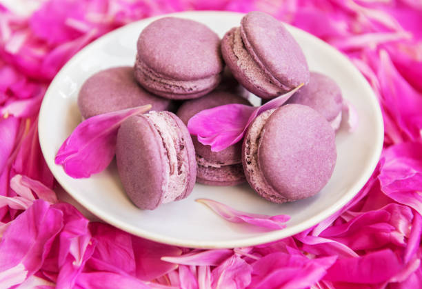 istock Pink peony petals with macarons 1010501466