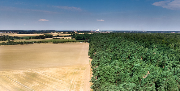 Abstract image of a harvested wheat field, divided at a forest boundary, in the middle, with blue sky in the background.