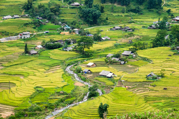istock Landscape of Rice field with river 1010514010