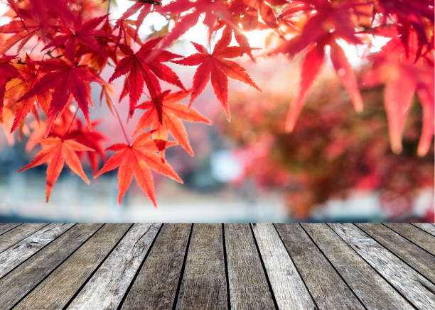 istock Wooden table top on Maple leaves covered 1010514084