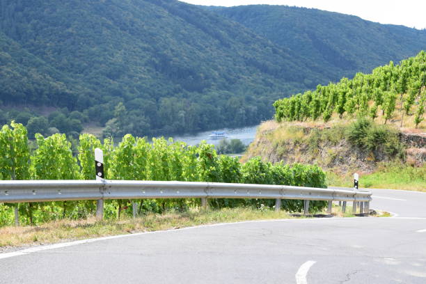 vineyard serpentines at moselle valley