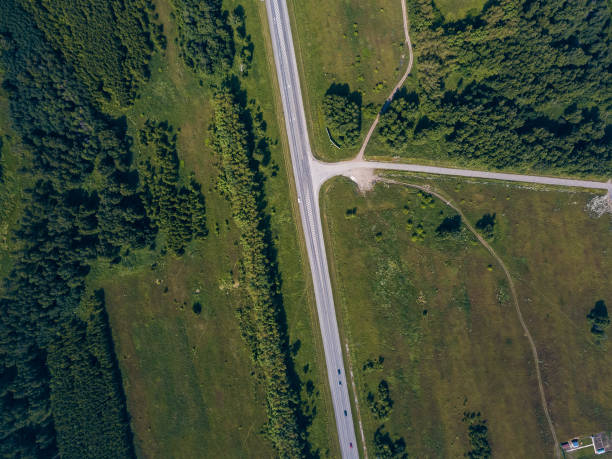 istock Helicopter drone shot forest and road 1010514364