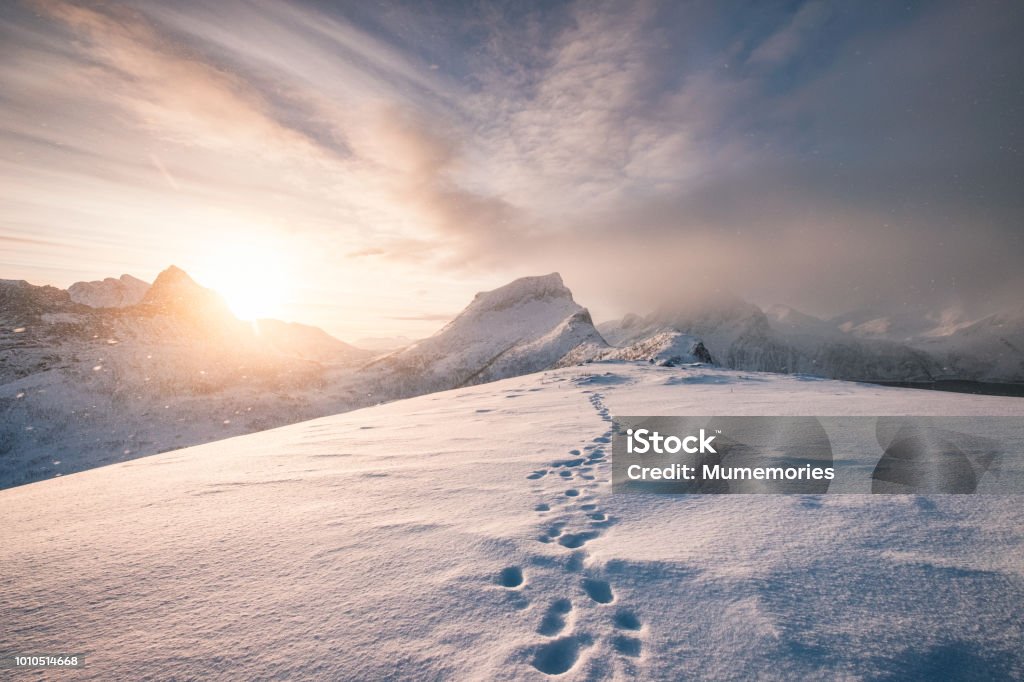 Snowy mountain ridge with footprint in blizzard Snowy mountain ridge with footprint in blizzard at sunrise Snow Stock Photo